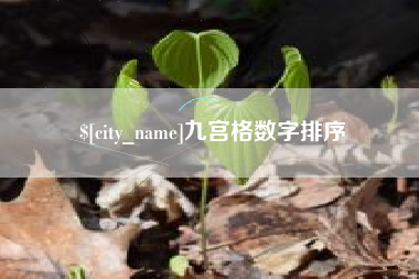 惠州九宫格数字排序
