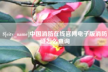 惠州中国消防在线官网电子版消防证怎么查询