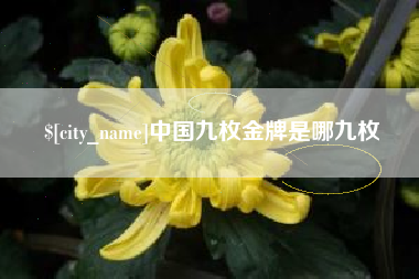 惠州中国九枚金牌是哪九枚