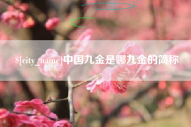 惠州中国九金是哪九金的简称