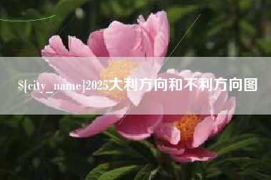 惠州2025大利方向和不利方向图