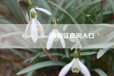 惠州消防证查询入口
