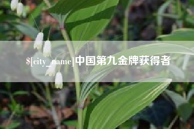 惠州中国第九金牌获得者