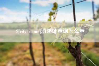 惠州消防证查询怎么查