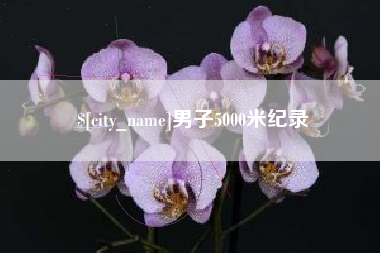 惠州男子5000米纪录