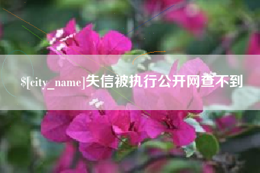 惠州失信被执行公开网查不到