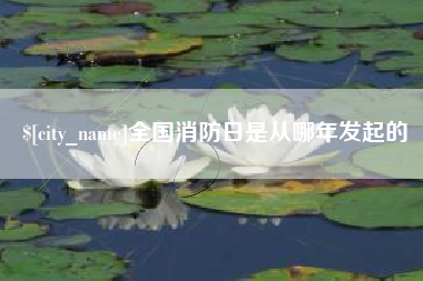 惠州全国消防日是从哪年发起的