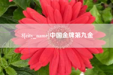 惠州中国金牌第九金
