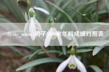 惠州男子5000米年龄成绩对照表