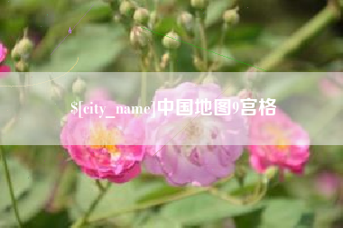 惠州中国地图9宫格