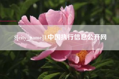 惠州1.中国执行信息公开网
