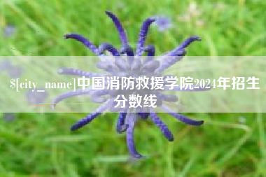惠州中国消防救援学院2024年招生分数线