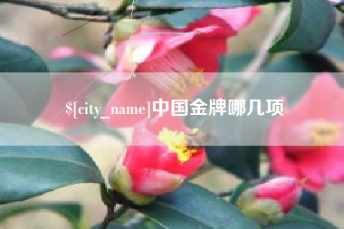 惠州中国金牌哪几项