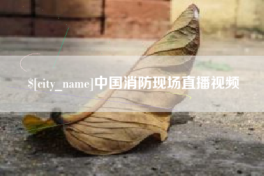 惠州中国消防现场直播视频