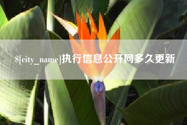惠州执行信息公开网多久更新
