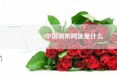 惠州中国消防网址是什么