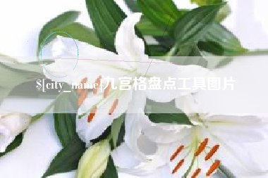 惠州九宫格盘点工具图片