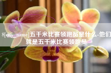 惠州五千米比赛领跑员是什么-他们就是五千米比赛领跑员