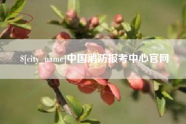 惠州中国消防报考中心官网