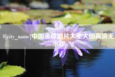 惠州中国金牌图片大全大图高清无水印
