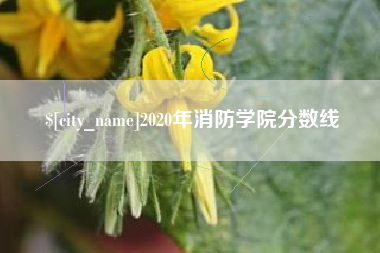 惠州2020年消防学院分数线