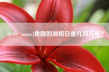 惠州我国的消防日是几月几号？
