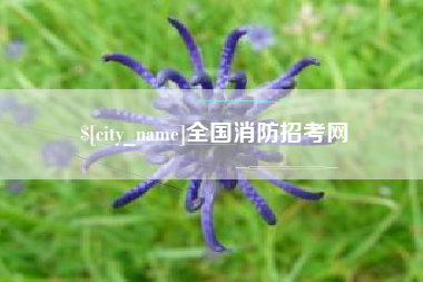 惠州全国消防招考网