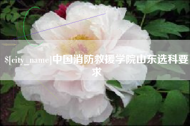 惠州中国消防救援学院山东选科要求