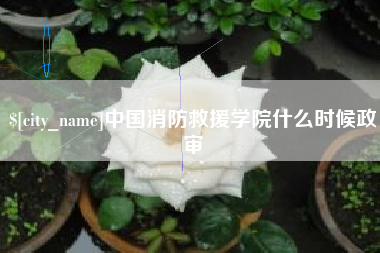 惠州中国消防救援学院什么时候政审