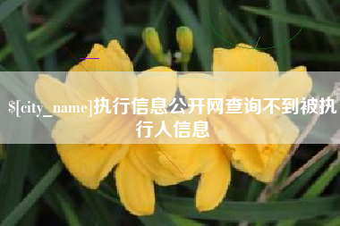 惠州执行信息公开网查询不到被执行人信息