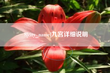 惠州九宫详细说明