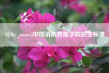 惠州中国消防救援学院招生标准
