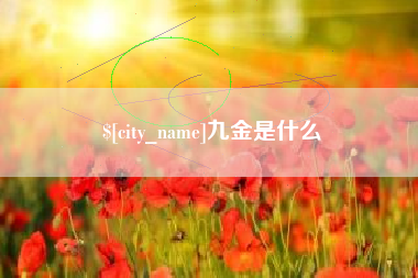 惠州九金是什么