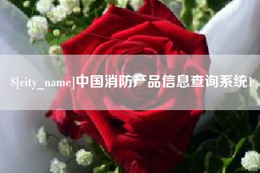 惠州中国消防产品信息查询系统1