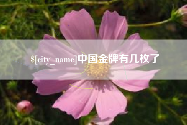 惠州中国金牌有几枚了