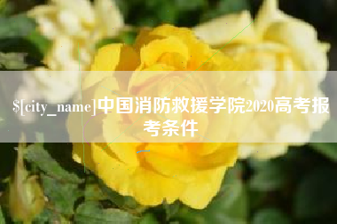 惠州中国消防救援学院2020高考报考条件