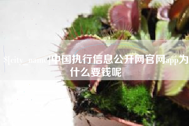 惠州中国执行信息公开网官网app为什么要钱呢