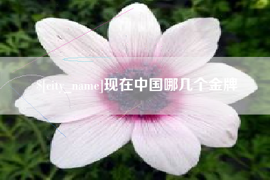惠州现在中国哪几个金牌