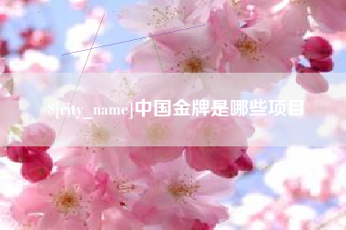 惠州中国金牌是哪些项目