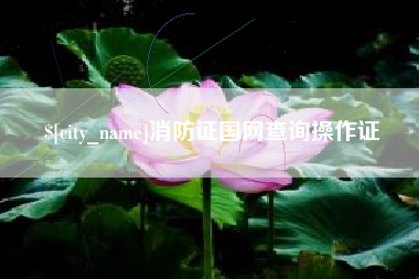 惠州消防证国网查询操作证