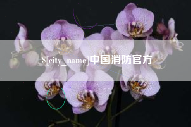 惠州中国消防官方
