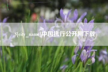 惠州中国执行公开网下载