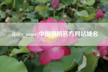 惠州中国消防官方网站域名