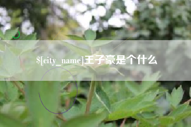 惠州王子豪是个什么