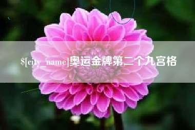 惠州奥运金牌第二个九宫格