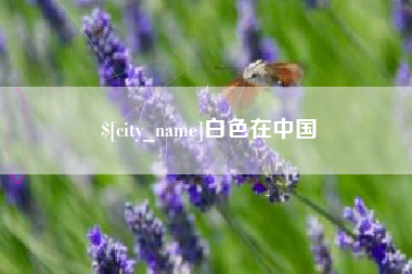 惠州白色在中国