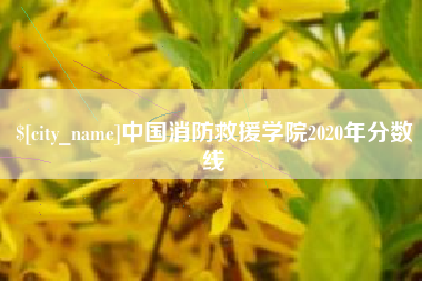 惠州中国消防救援学院2020年分数线
