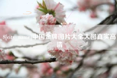 惠州中国金牌图片大全大图真实高清