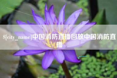 惠州中国消防直播回放中国消防直播