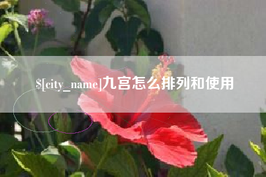 惠州九宫怎么排列和使用
